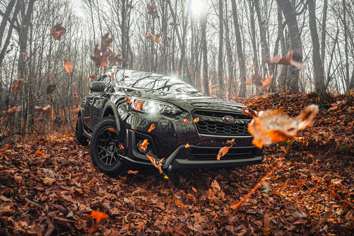 Thumbnail Wind fallingleaves1